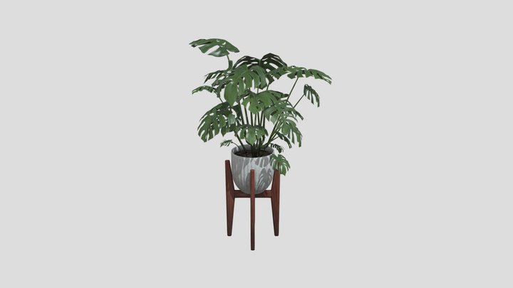 Indoor Planter 3D Model