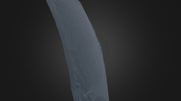 Test 3D Model