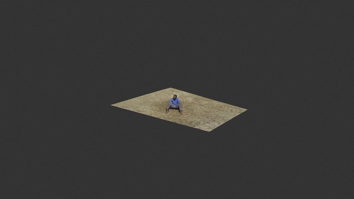 DW 3D Model