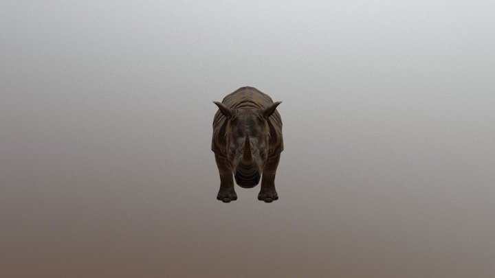 Rhinoceros 3D Model