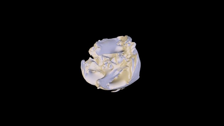 Chelonia mydas Cranium 3D Model