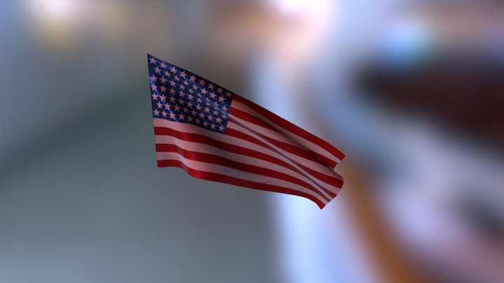 USA Flag 3D Model