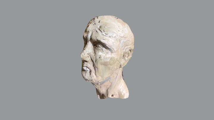 Kop 3D Model