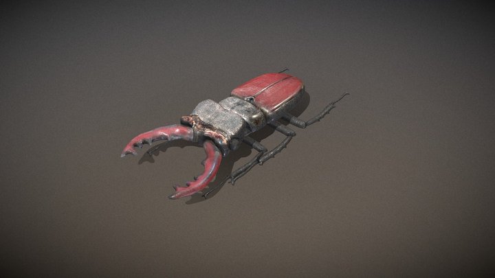 Stag-beetle 3D models - Sketchfab