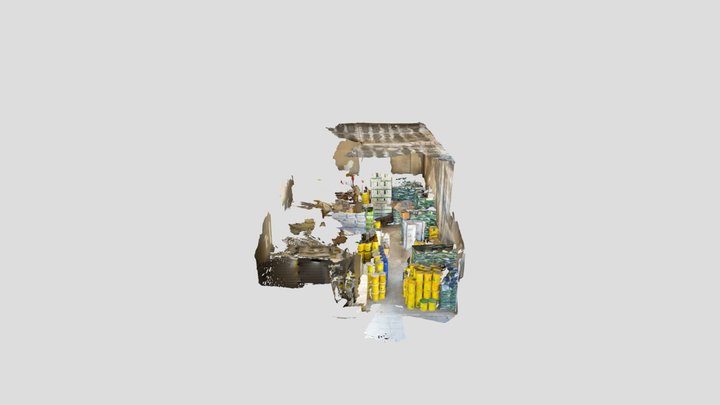 Untitled Scan 3D Model