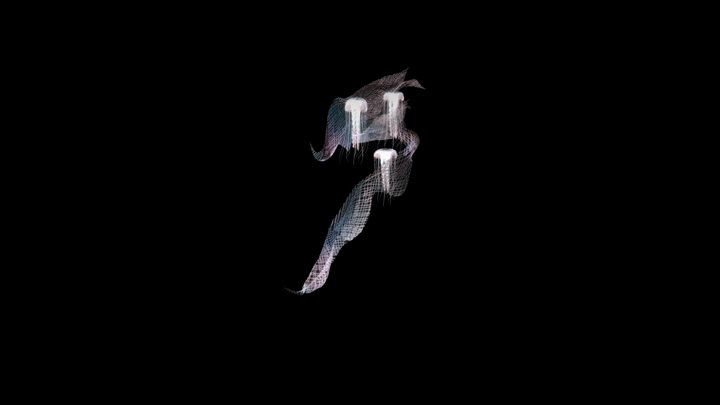 jellyfish_animation_nomad 3D Model