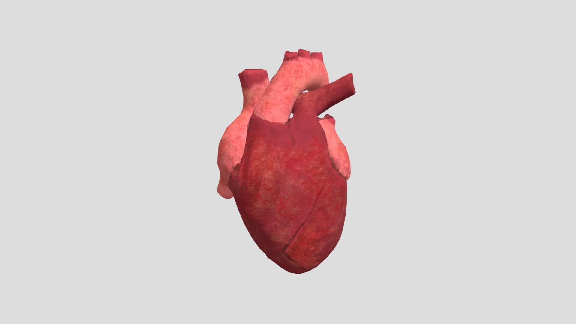 Heart - 3D model by kumar (@hellosaarthi) [e734379] - Sketchfab