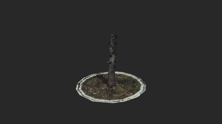 Tree 02 LOD0 3D Model