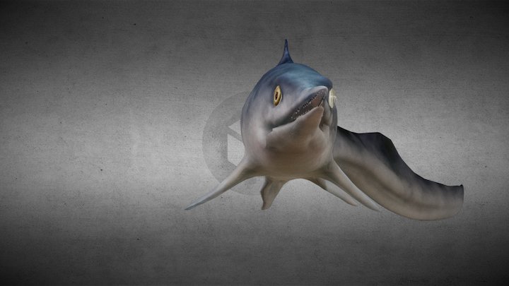 Mixosaurus sp. 3D Model