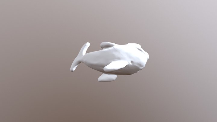 Dolphin Fuzed DEC XYZ 3D Model