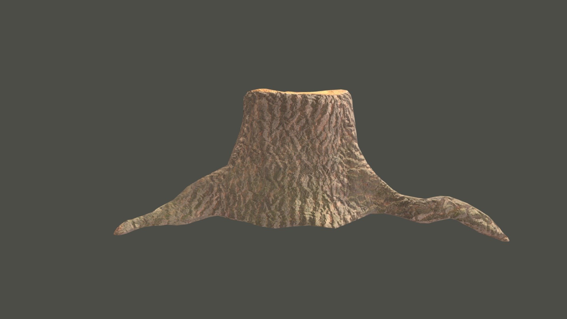Pine Tree Wood Cutting Stump - 3D model by ColePaskuski (@ColePask ...