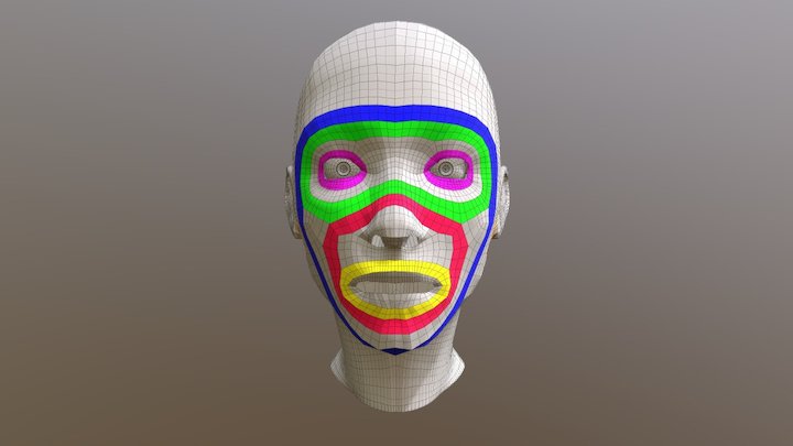 Ariel - Retopologia de Cabeça Humana 3D Model
