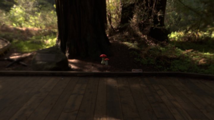 Setas 3D Model