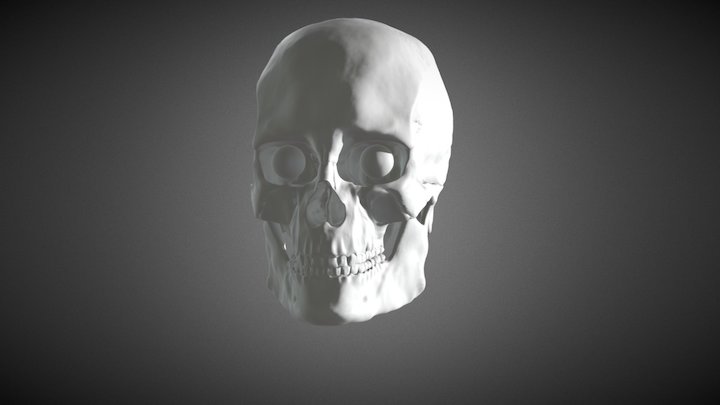 SKULL (Crânio) - Downloadable 3D Model