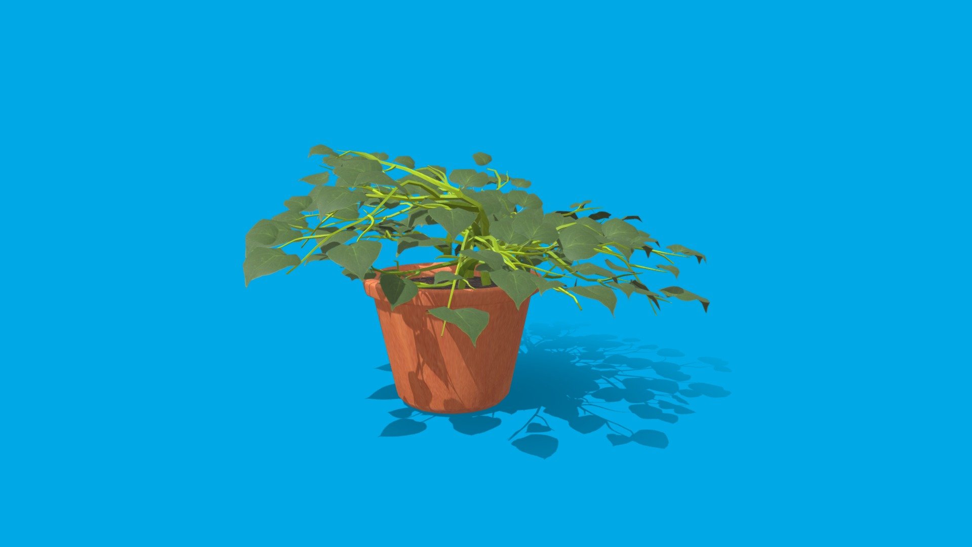 Malik_Nadia_Week8_Plant