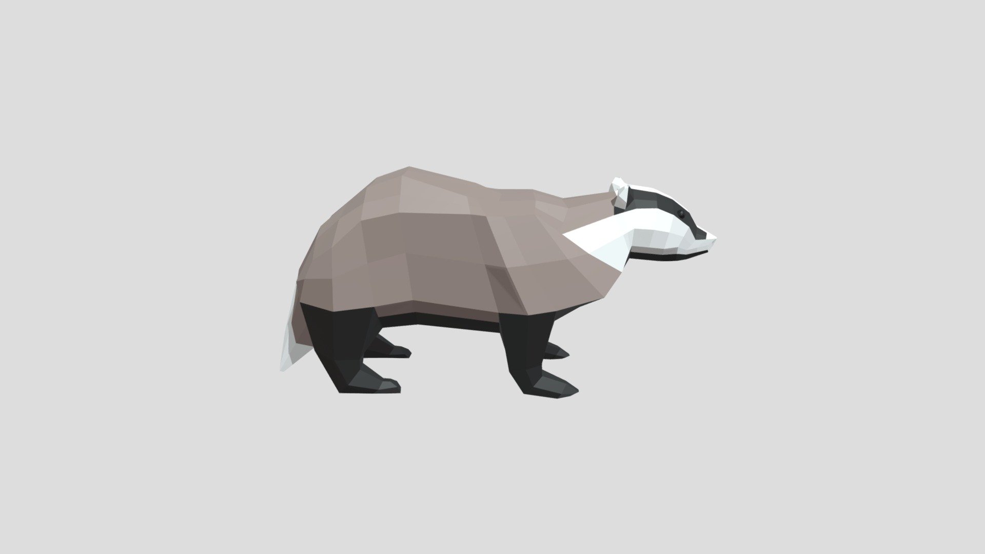 Badger low poly 3D model by saucilee [e73f9b1] Sketchfab