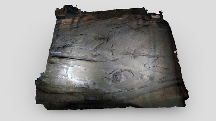 Hagood Creek Petroglyph Scan - 6/17/2023 3D Model