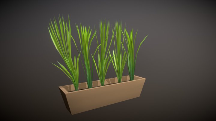 Plants Pot Cycle 3D Model