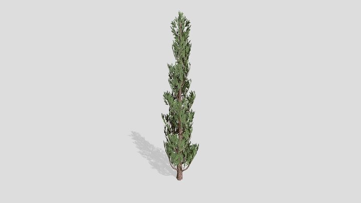 Juniper – Modello 3D gratuito STL