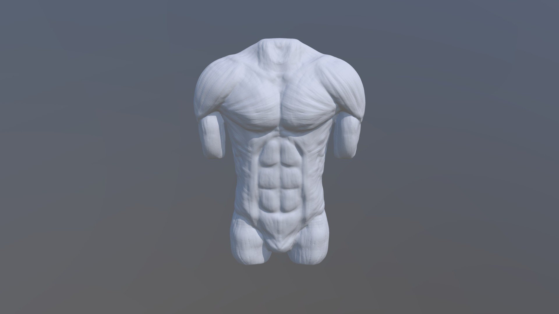 Torso