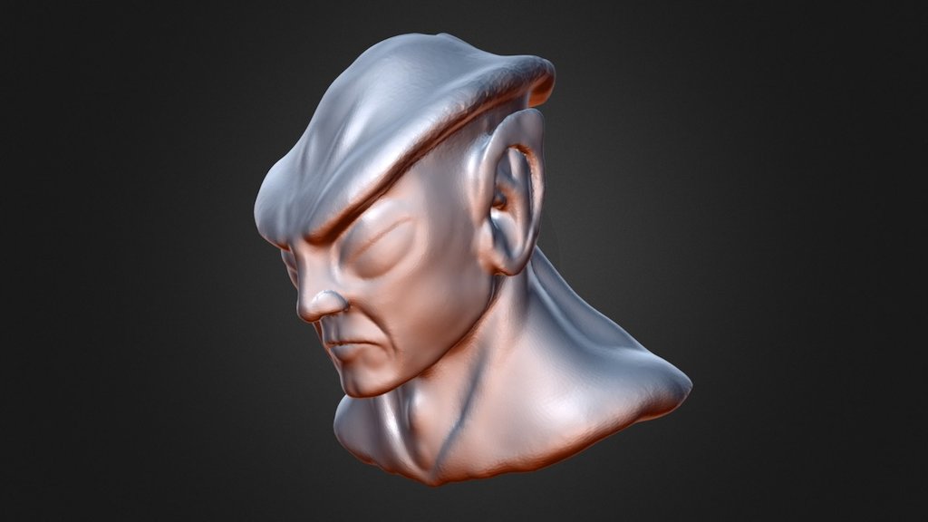 Head 20170525 - 3D Model By B Griffin (@grifterZ) [e74d6e1] - Sketchfab