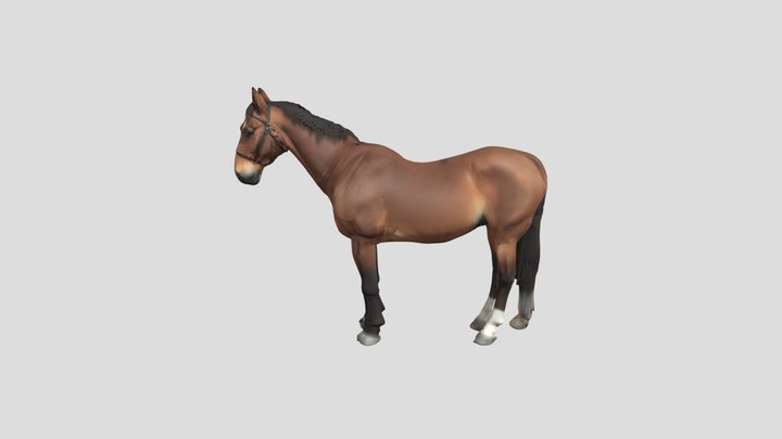 horse 3d model