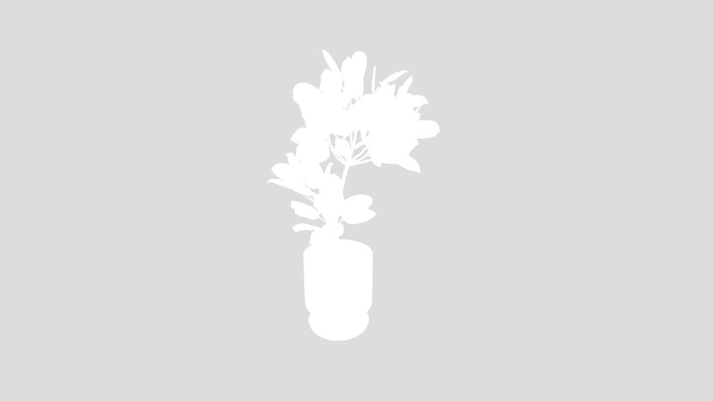Rubber Ficus Elastica Abidjan Melany