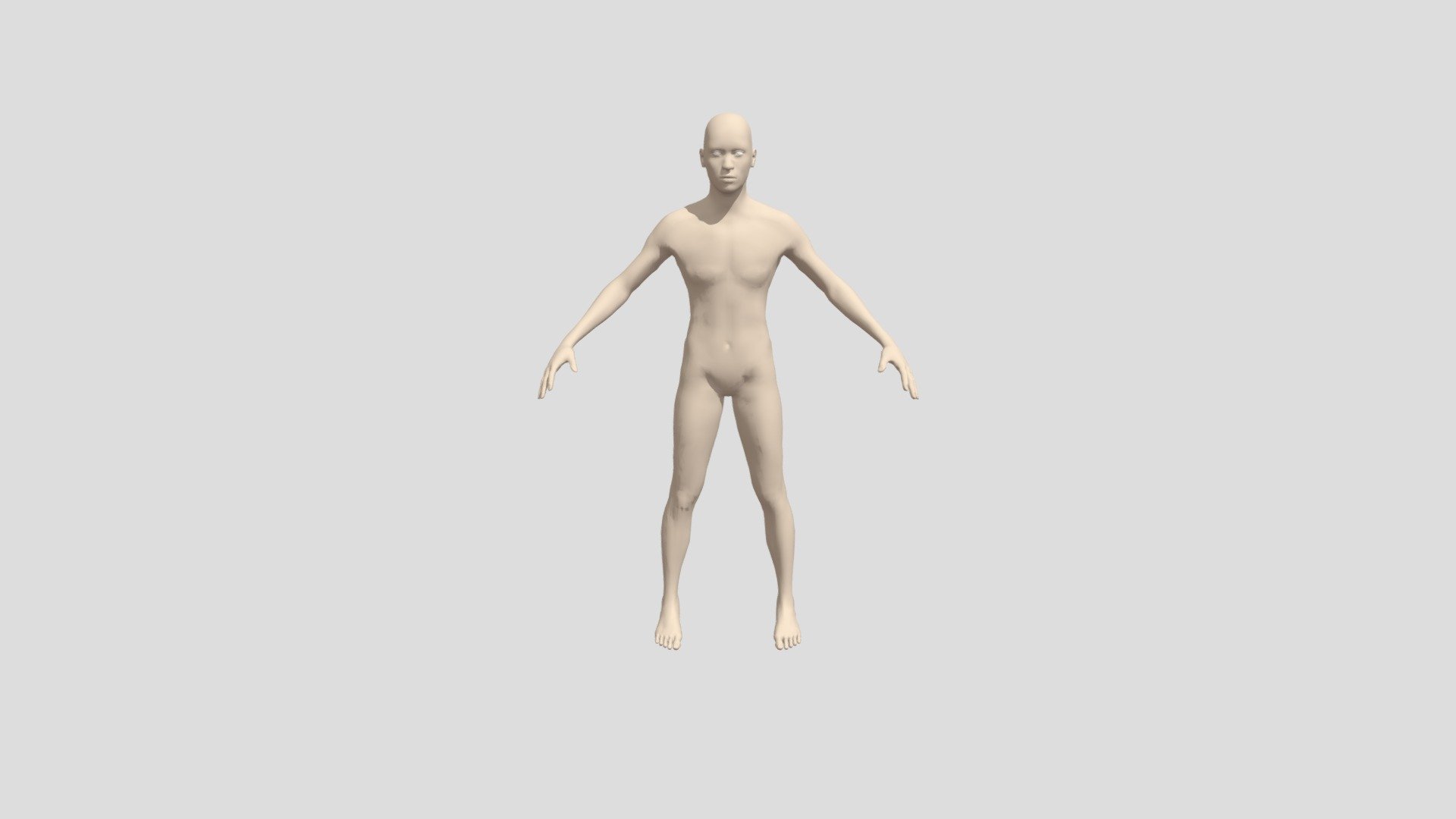 Human 3D Model