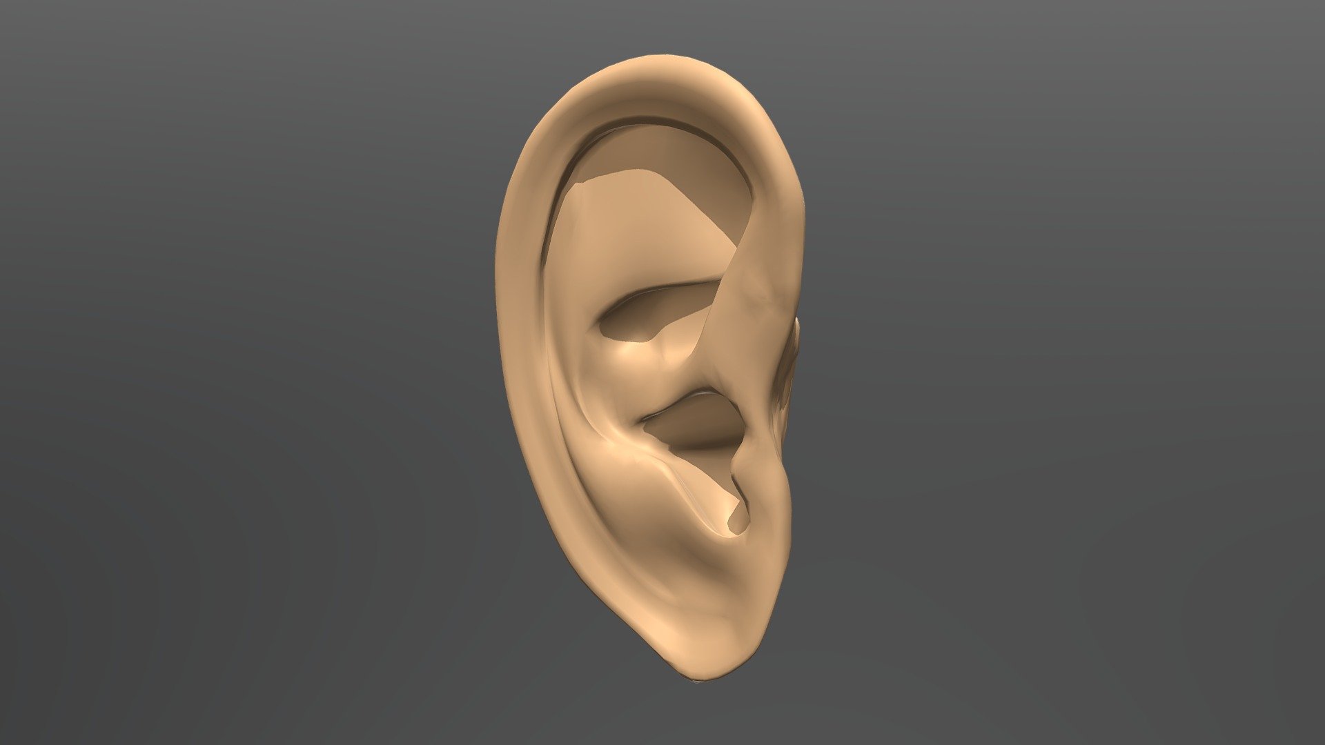 Modelo Oreja_UCA