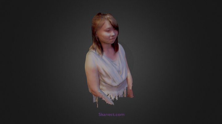 chuiyi 3D Model