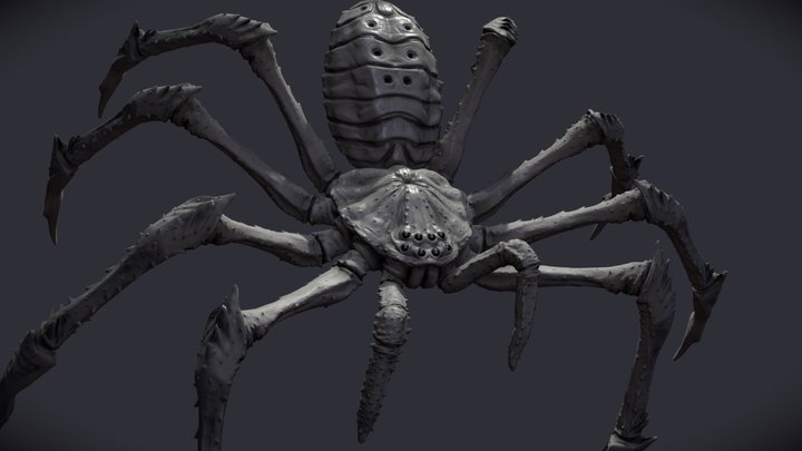 Goliath Huntsman Spider 3D Model