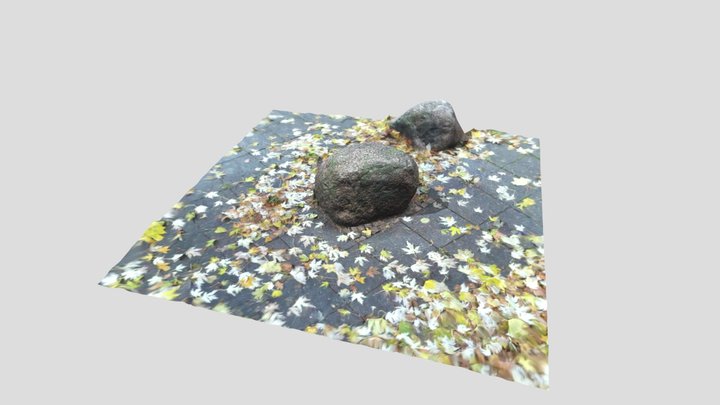 Round Stone With Moss & Leaves - A 3D Model
