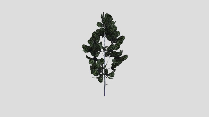 Aspen Tree Sapling – Free 3D Model STL