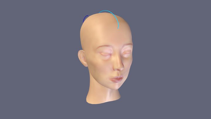 head SSEP 3D Model