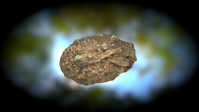 Discovery of Taula in Menorca 3D Model