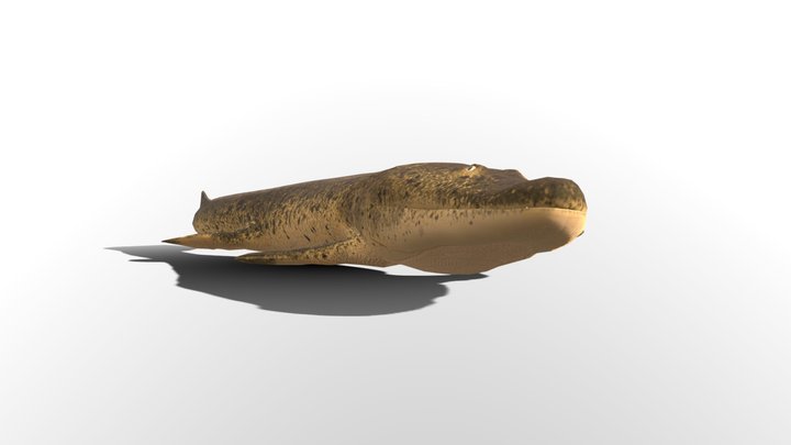 Tiktaalik Roseae – Kostenloses 3D-Modell STL