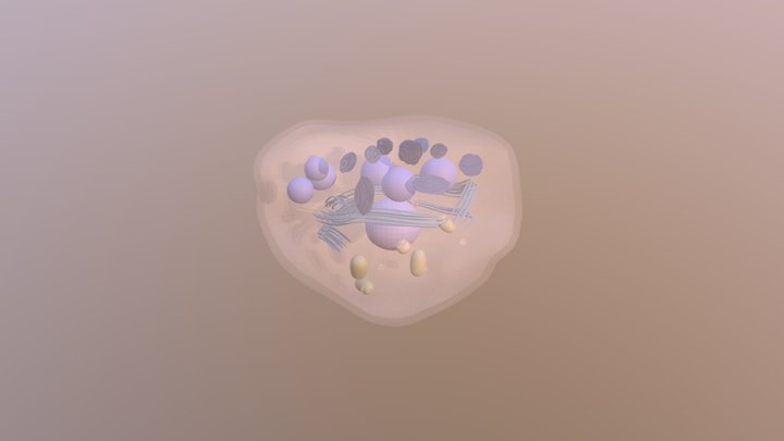 Keratinotsüüt (marrasknaha sõmerkiht) 3D Model