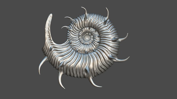 Kosmoceras (Spinikosmoceras) annulatum 3D Model