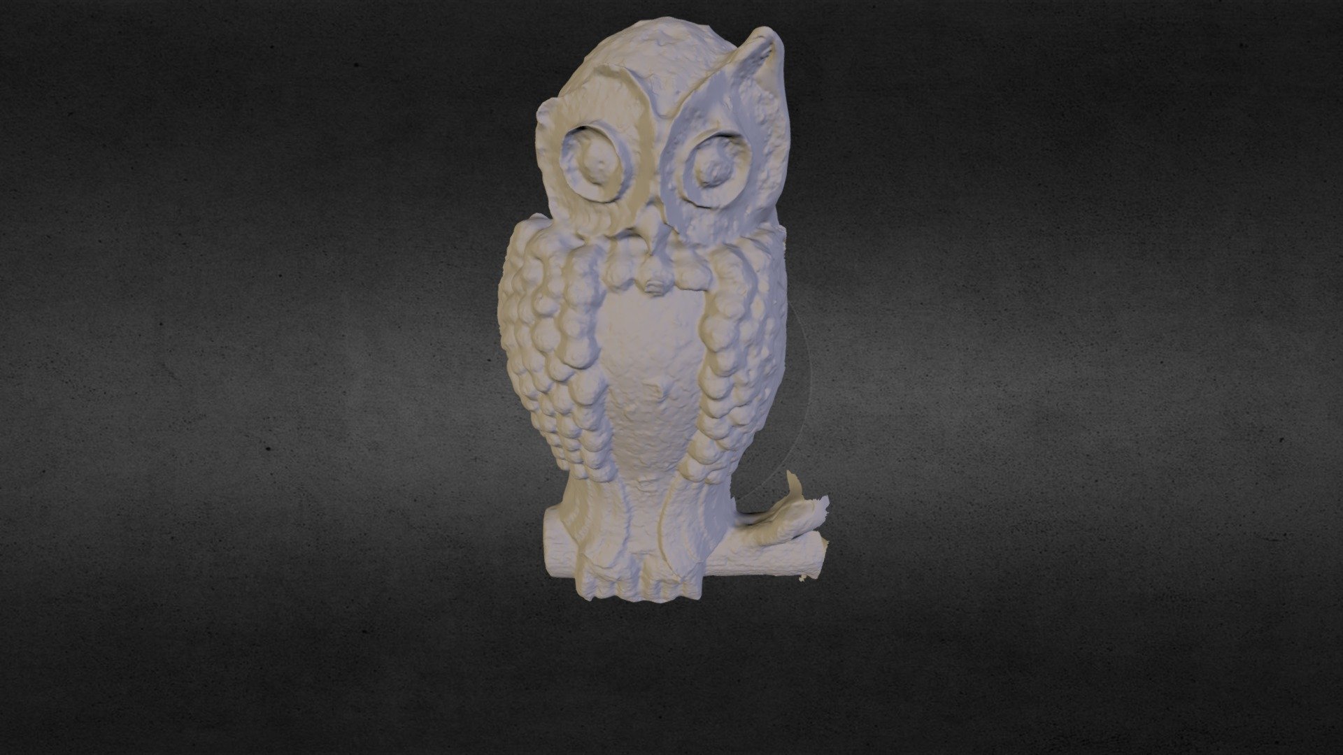 owl_working