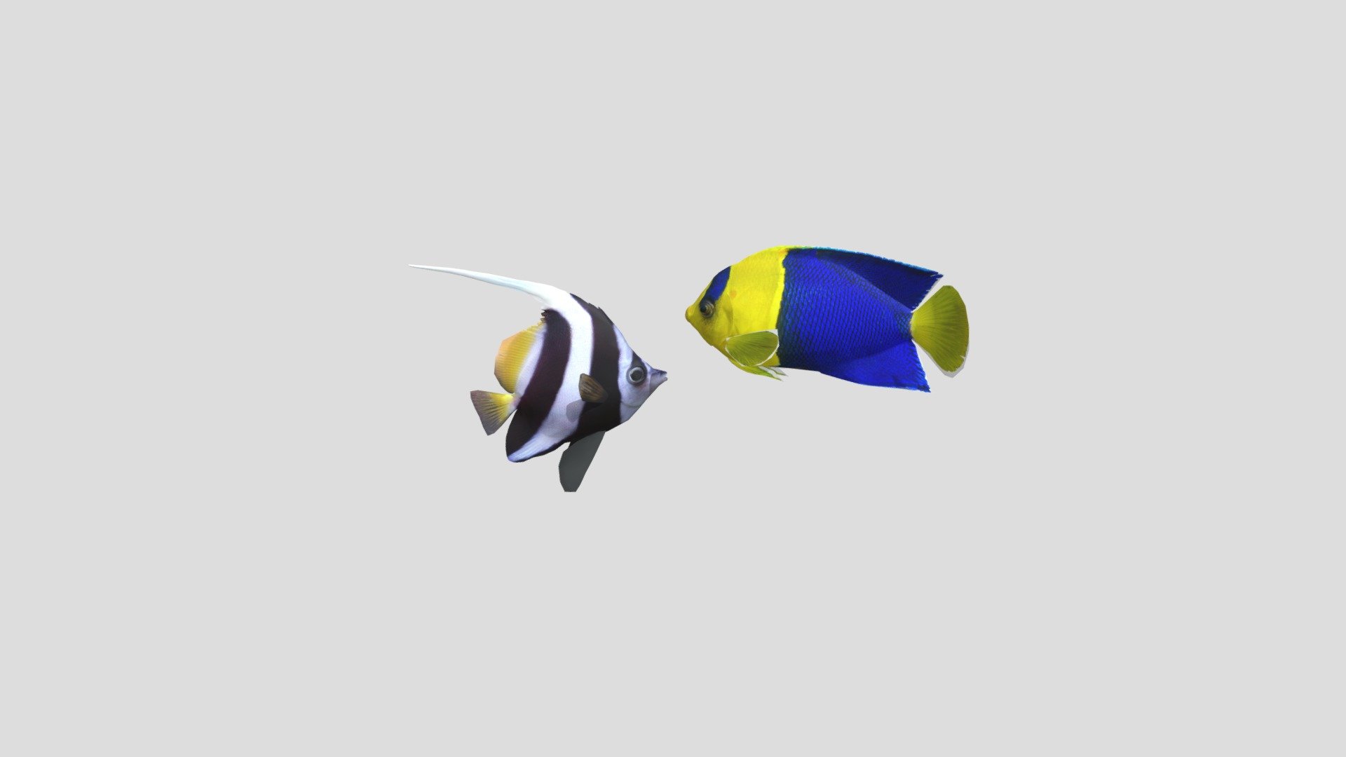 Vissen1 Sketchfab 2