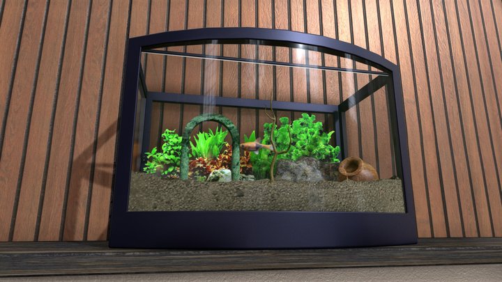 Aquarium 3D - Masson Johann 3D Model