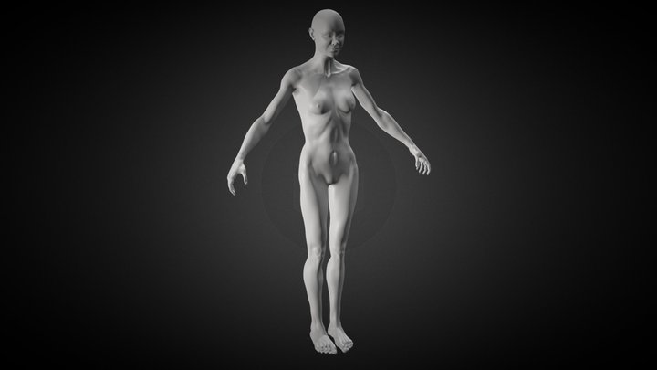 Thin Female Anatomy Study 3D Model
