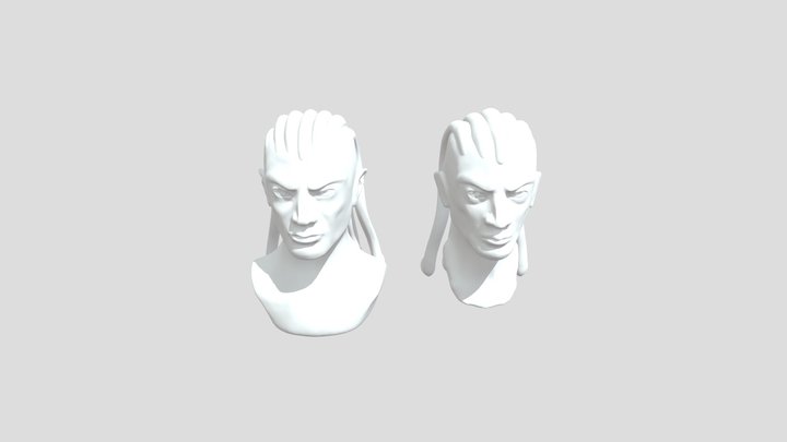 Two Male Heads 3D Model