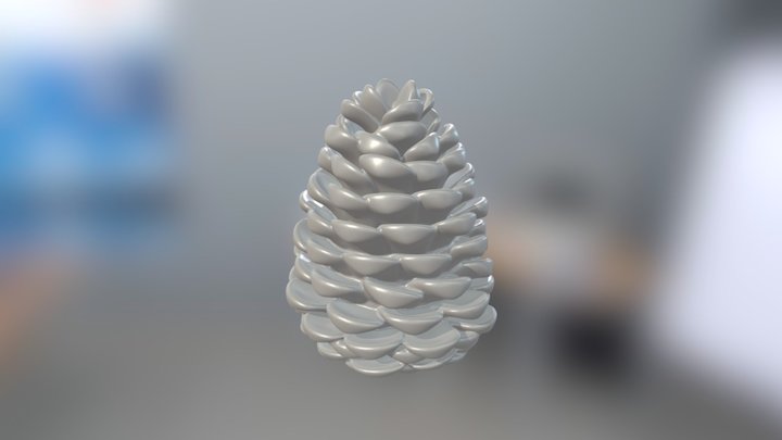 Pinecone 3D Model