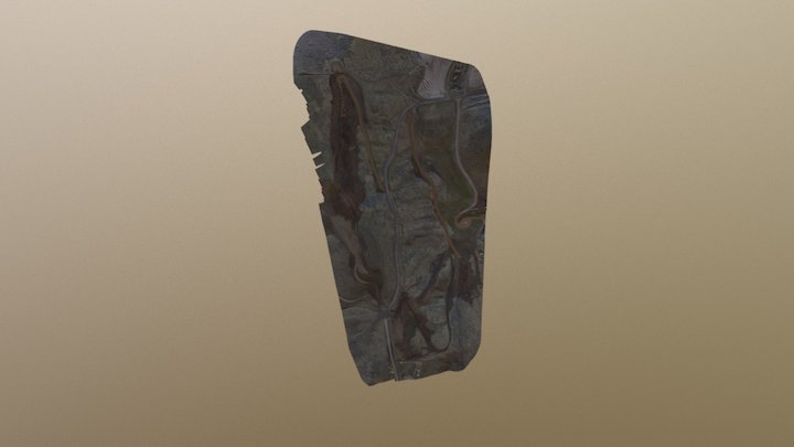 Scan 120M 3D Model