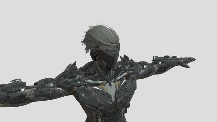 Raiden Fully Textured and Rigged 3D Model