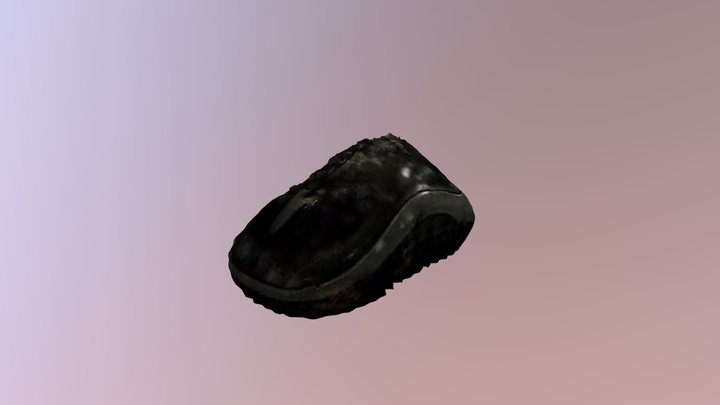 New Qlone 3D Model