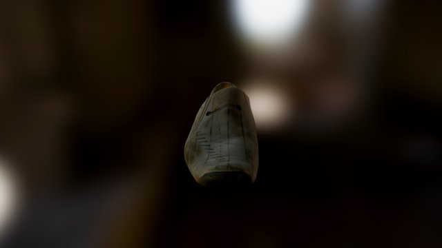 Zapato App test 3D Model