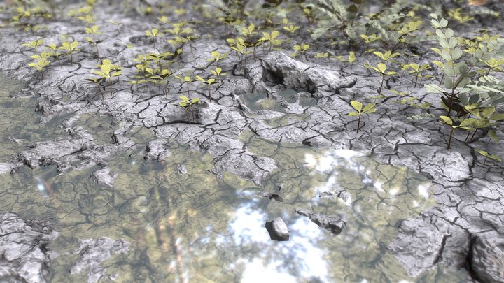 Dried mud with small plants – Modello 3D gratuito STL