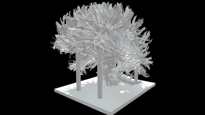 Tractografia con Base para Impresion 3D Model
